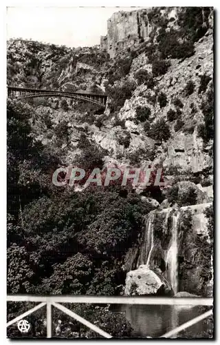 Cartes postales Algerie Tlemcen Les Cascades du Meffrouch
