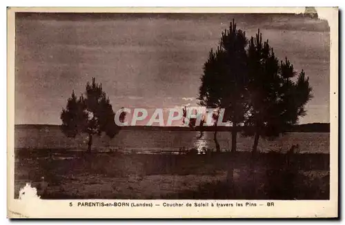 Cartes postales Parentis en Born Coucher de Soleil a travers les Pins