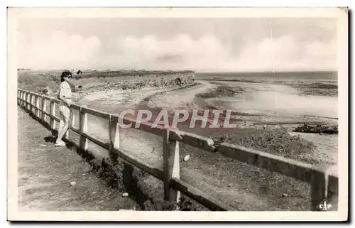 Cartes postales Luc sur Mer Les Falaises