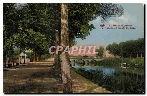 Cartes postales Brive (Correse) La Guierie Allee du Tapis Vert