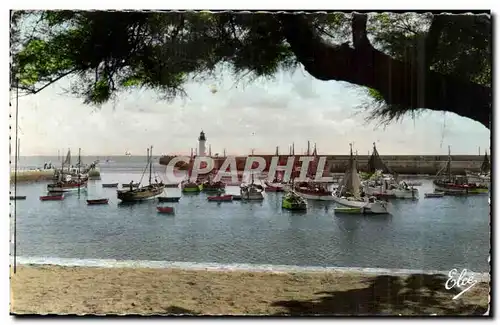 Ansichtskarte AK Ile D Oleron (Chte Mme) La Cotiniere Le Joli Port