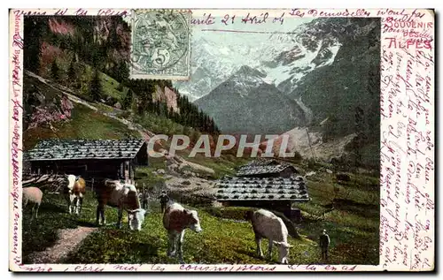 Cartes postales Other