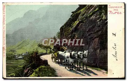 Cartes postales Souvenir Des Alpes Anitier