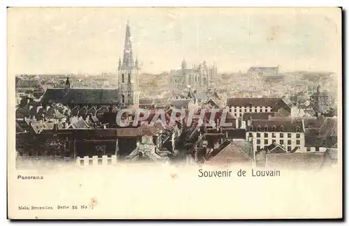 Cartes postales Panorama Souvenir de Louvain