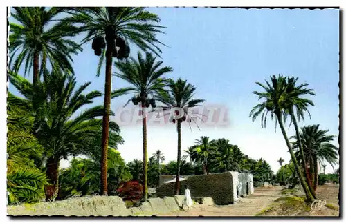 Cartes postales Scenes Et Types Une boutique bien achaladee