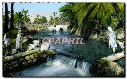 Ansichtskarte AK Scenes Et Laveuses dans L oued