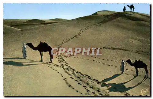 Cartes postales Scenes et Types Dunes de sable