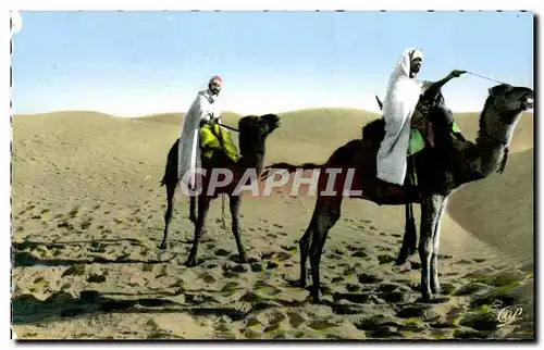 Cartes postales Scenes et Types Meharistes traversant le desert Chameau camel