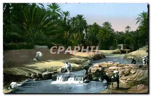 Ansichtskarte AK Scenes et Types Un barrage sur L oued Ane Donkey