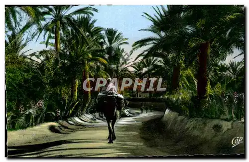 Cartes postales Scenes et Types Route dans L oasis