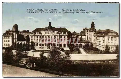 Ansichtskarte AK Francfort Sur Mein Musee de Senkenberg