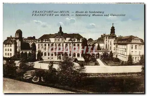Cartes postales Francfort Sur Mein Musee de Senkenberg