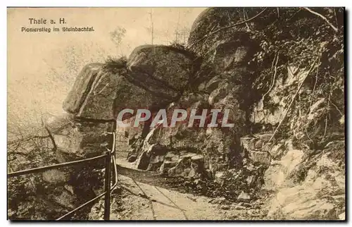 Cartes postales Thale Pionierstieg im Steinbachtal