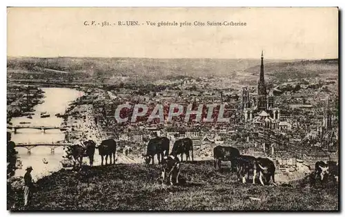 Cartes postales Rouen Vue generale prise Cote Sainte Catherine Vaches