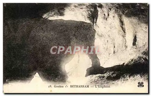 Ansichtskarte AK Grottes De Betharram L Elephant