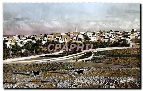 Cartes postales Berrian Territoire du Sud Vue Generale de Berrian avec son Minaret