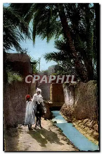 Cartes postales Scenes   Types d Afrique du Nord Sene de Village arabe Ane Donkey