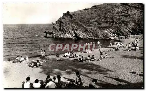 Cartes postales Banyuls Sur Mer un coin de la Plage