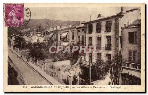 Ansichtskarte AK Amelie les Bains Les villes sur l Avenue du Vallespir