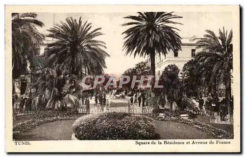 Ansichtskarte AK Tunis Square de la Residence et Avenue de France Tunisie