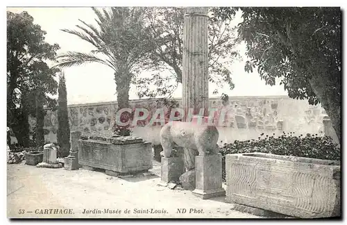 Ansichtskarte AK Tunisie Carthage Jardin Musee de Saint Louis Cheval Horse