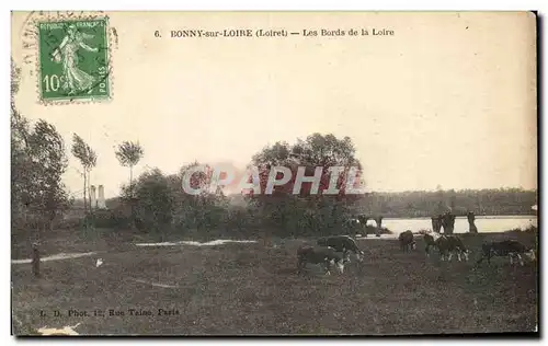 Cartes postales Bonny sur Loire (Loiret) Les Bords de la Loire