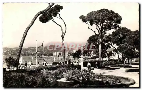 Cartes postales la Cote D Azur Juan les Pins La Pinede