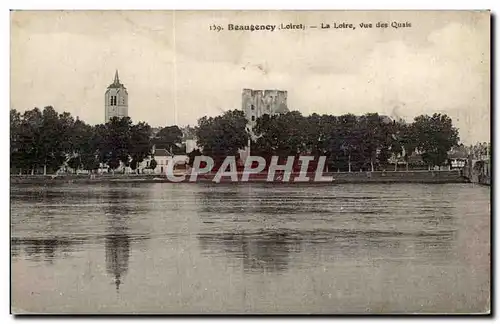 Cartes postales Beaugency La Loire Vue des Quais