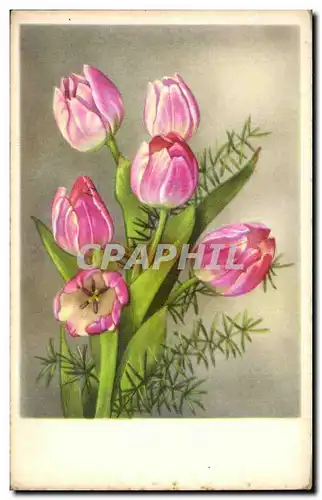 Cartes postales Fantaisie Fleurs