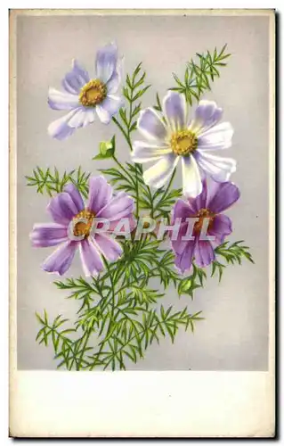 Cartes postales Fantaisie Fleurs