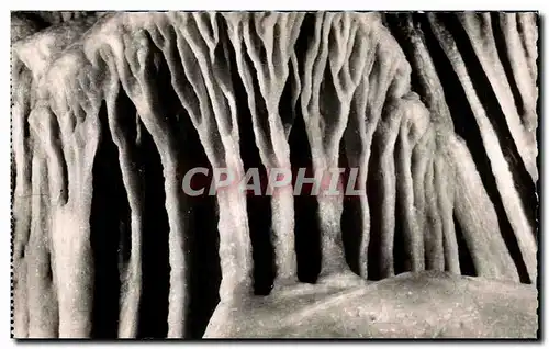 Cartes postales moderne Monaco Les Grottes de I Observatoire dans le Jardin Exotique Jeux d Orgues