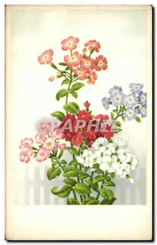 Cartes postales Fantaisie Fleurs