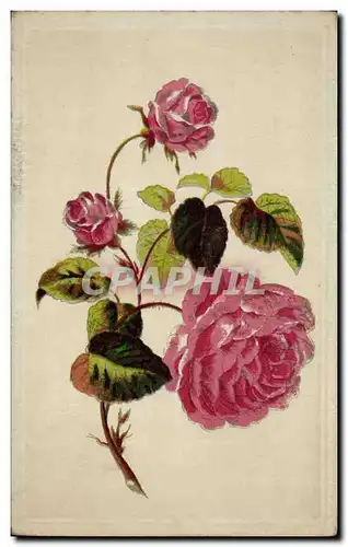 Cartes postales Fantaisie Fleurs
