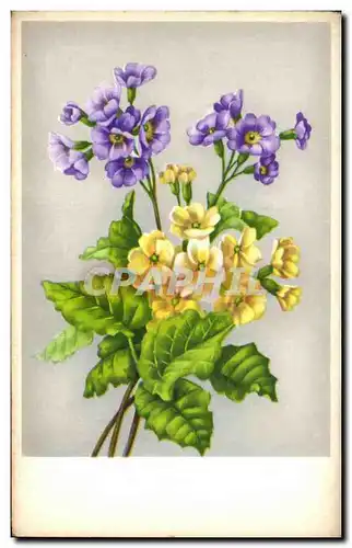 Cartes postales Fantaisie Fleurs