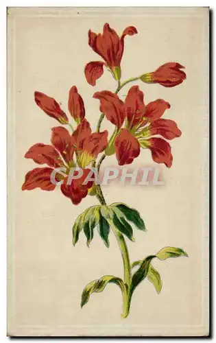 Cartes postales Fantaisie Fleurs