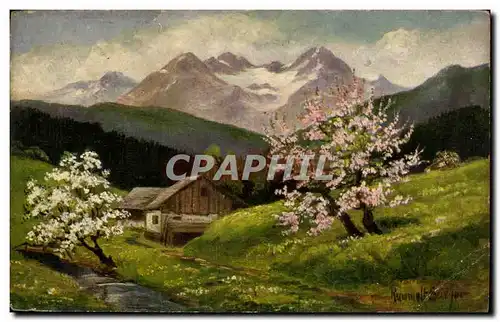 Cartes postales Fantaisie Fleurs