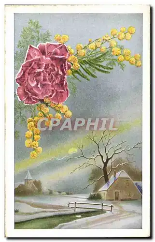 Cartes postales Fantaisie Fleurs