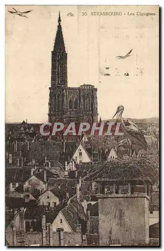 Cartes postales Strasbourg Les Cigognes