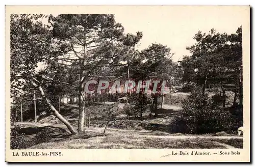 Ansichtskarte AK La Baule les Pins Le Bois d Amour Sous bois