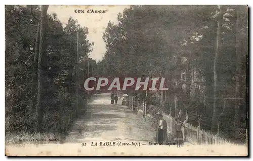 Cartes postales Cote d Amour La Baule Dans les sapins