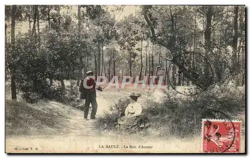 Cartes postales La Baule Le Bois d Amour