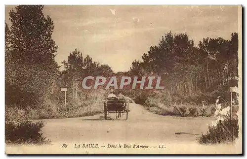 Cartes postales La Baule Dans le Bois d Amour