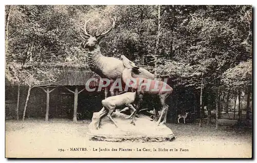 Ansichtskarte AK Nantes Le Jerdin des Plantes Le Cerf la Biche et le Faon