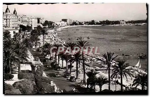 Cartes postales moderne La Cote d Azur Cannes La Croisette