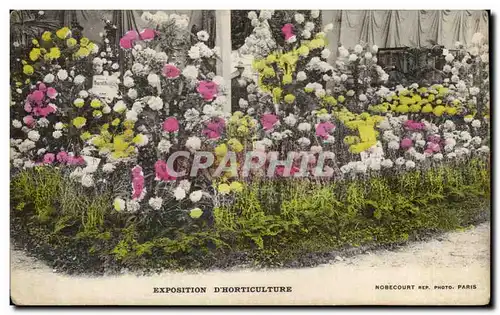 Cartes postales Exposition D Horticulture Paris fleurs