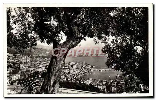 Cartes postales Monte Carlo a travers les Oliviers Collection la Cote D Azur