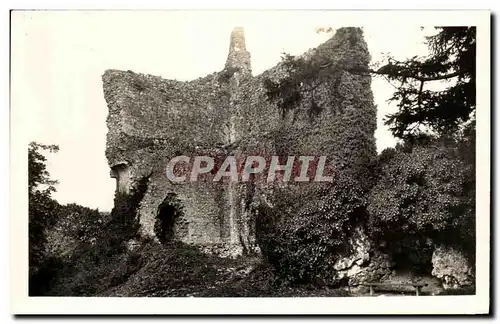 Cartes postales Domfront Les Rulnes du Donjon