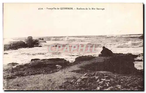 Ansichtskarte AK Presqu ile de Quiberon Rochers de la Mer Sauvage