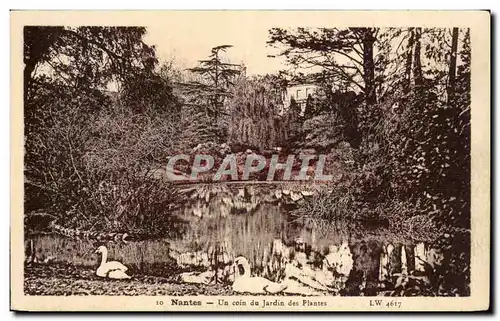 Cartes postales Nantes Un coin du Jardin des Plantes