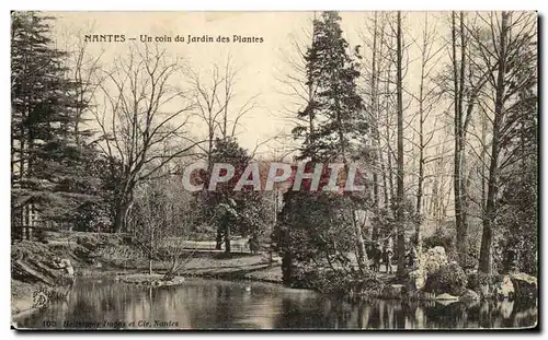 Cartes postales Nantes Un coin du Jardin des Plantes